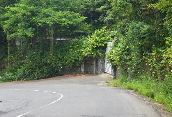 Đà[-]Nẵng:[-]Vì[-]sao[-]lô[-]biệt[-]thự[-]L09[-]ở[-]Sơn[-]Trà[-]lại[-]là[-]vấn[-]đề[-]"tuyệt[-]mật"?